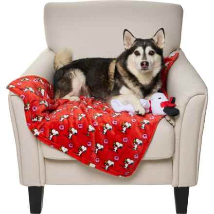 Peanuts Printed Pet Throw Blanket and Plush Toy Set - 40x30” in Red Hearts