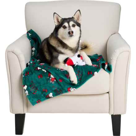 Peanuts Printed Pet Throw Blanket and Plush Toy Set - 40x30” in Snoopy - Closeouts