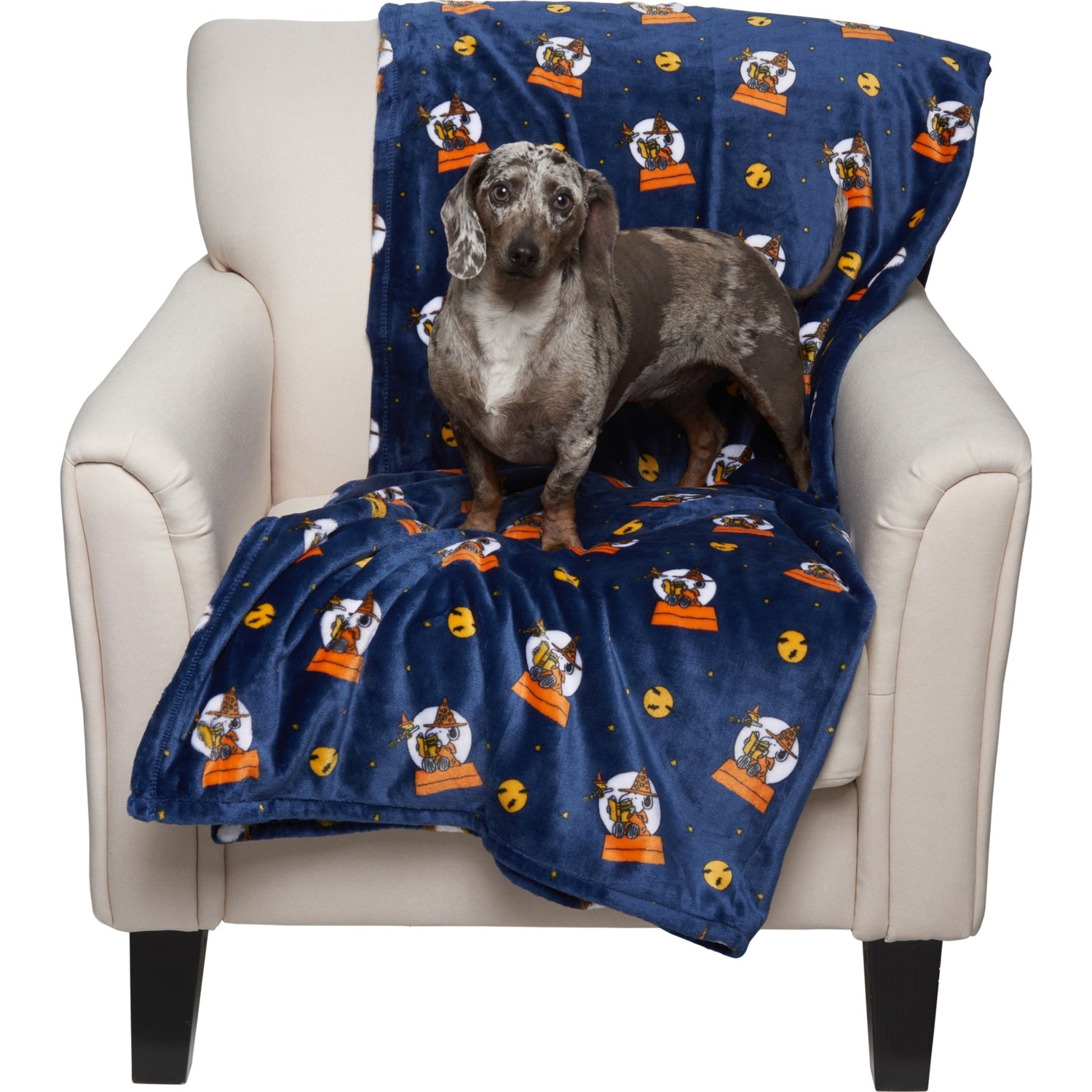Peanuts Snoopy Pet Throw Blanket 50x70” Save 29