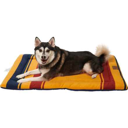 Pendleton National Park Comfort Cushion Dog Bed - 40x27” in Yellowstone
