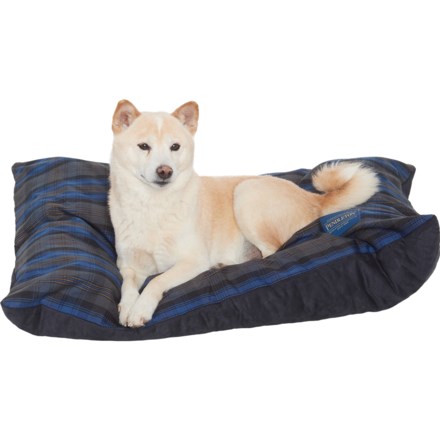 dog beds clearance