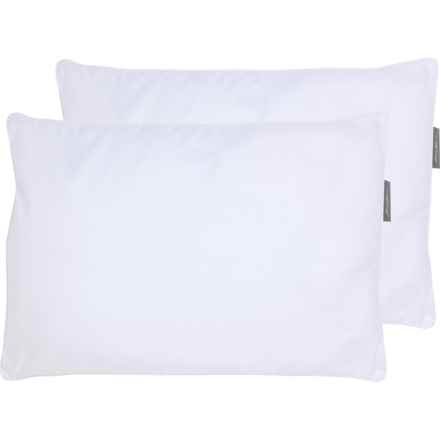 Pendleton Standard-Queen Cotton-Wool Gusset Bed Pillows - 2-Pack, White in White