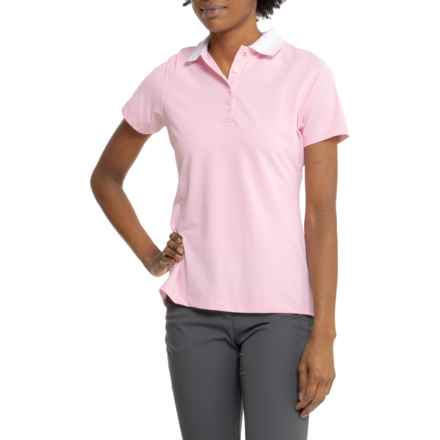 Peter Millar Striped Collar Sport Polo Shirt - Short Sleeve in Palmer Pink/White