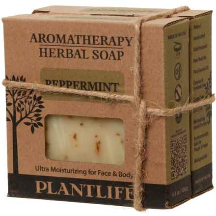 Plant Life Aromatherapy Herbal Soap - 2-Pack, 4.5 oz. in Peppermint