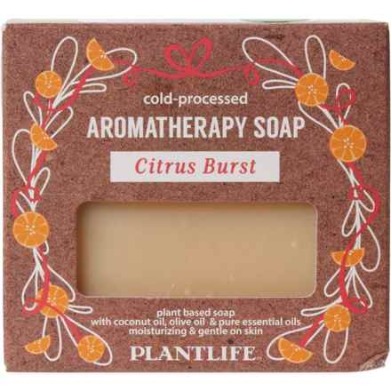 Plant Life Citrus Burst Aromatherapy Herbal Bar Soap - 4.5 oz. in Citrus