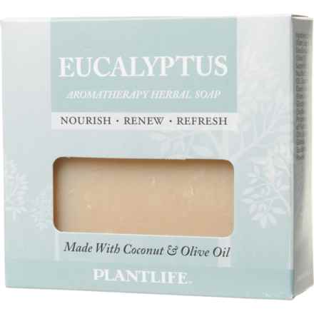 Plant Life Eucalyptus Aromatherapy Herbal Bar Soap - 4.5 oz. in Eucalyptus