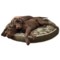 179HA_4 P.L.A.Y. Camouflage Dog Bed - Large, 42” Round