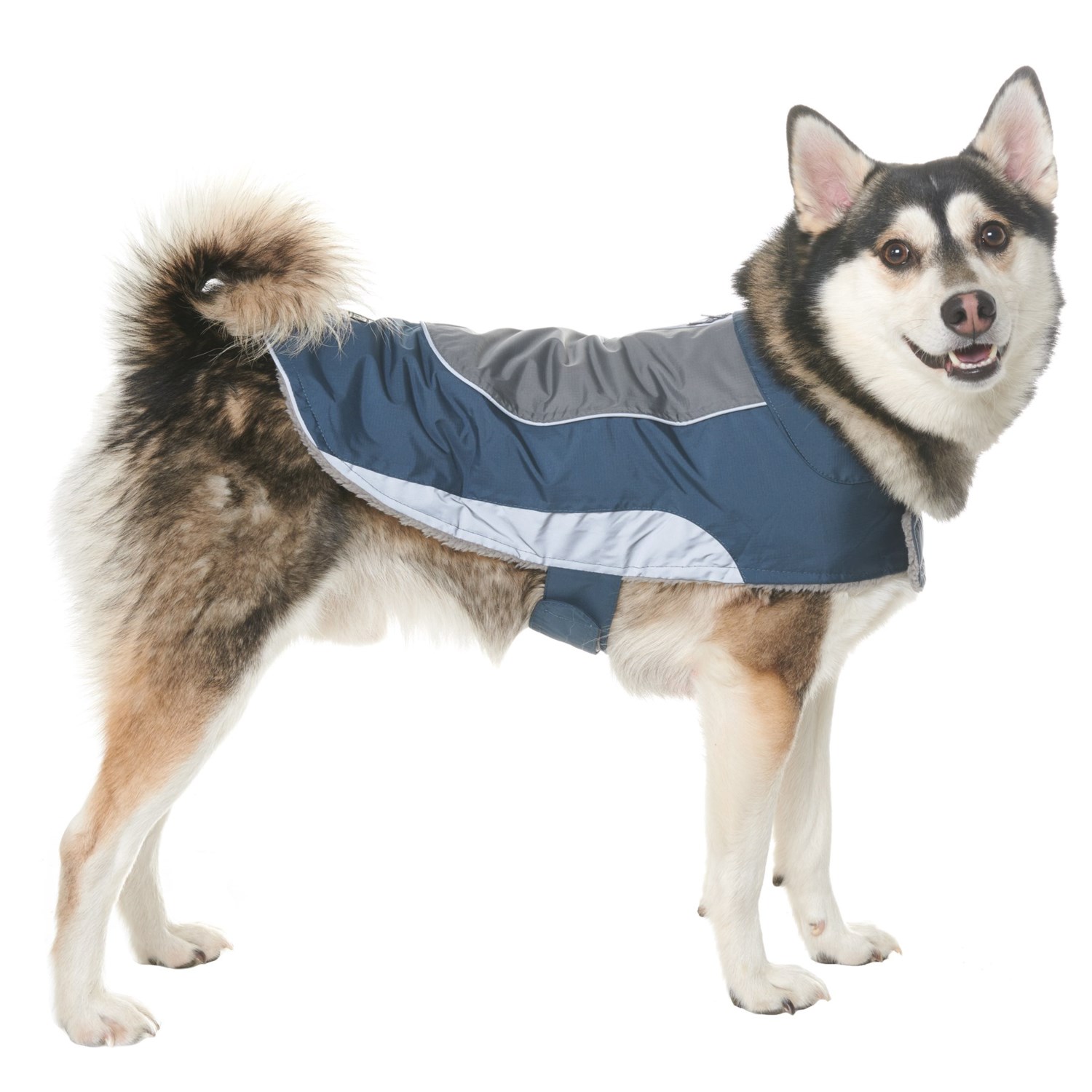 polartec dog coat
