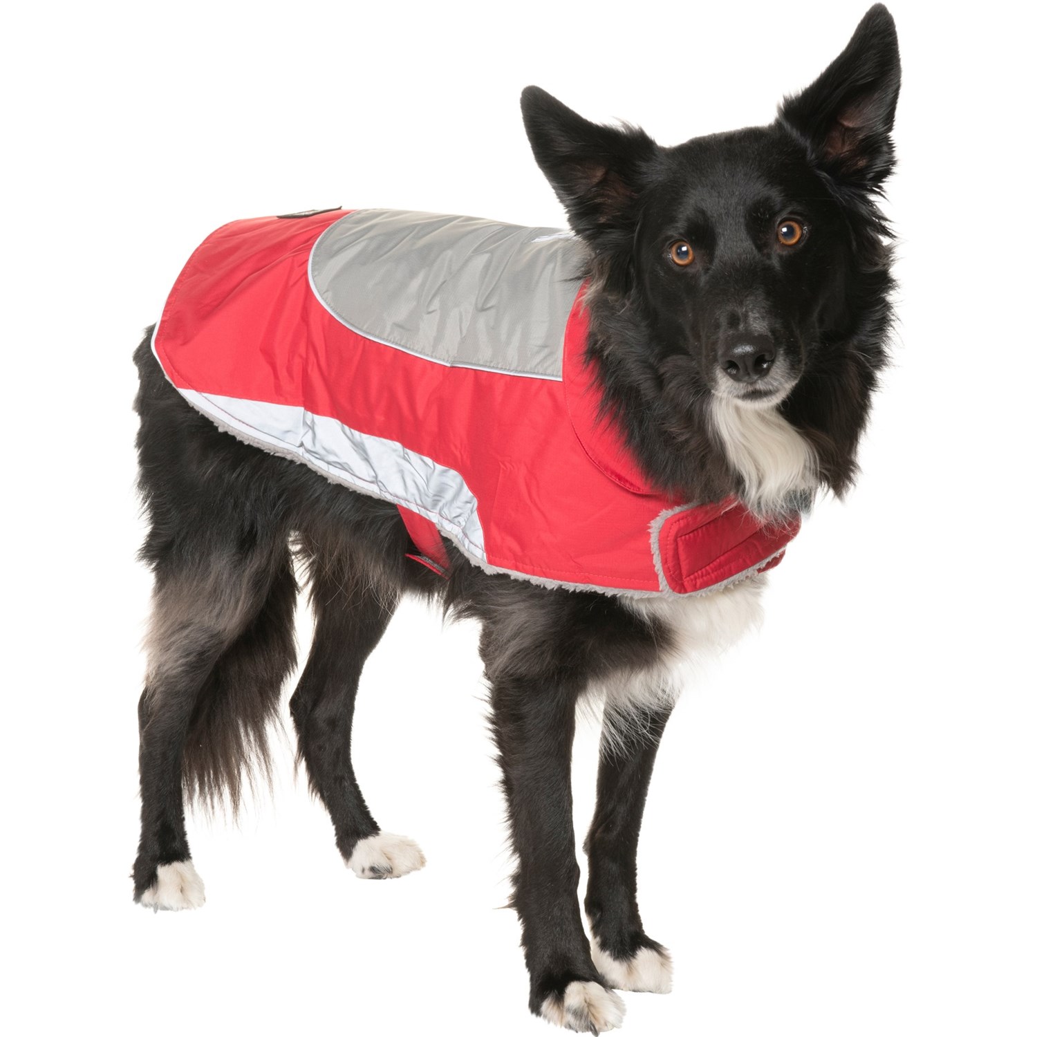 red dog jacket