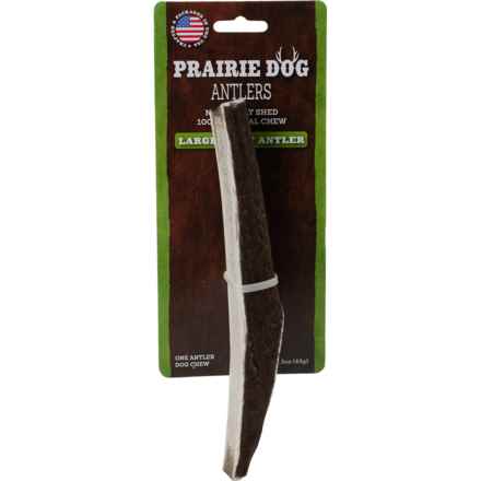 Prairie Dog Split Antler Dog Chew - Large in Antler