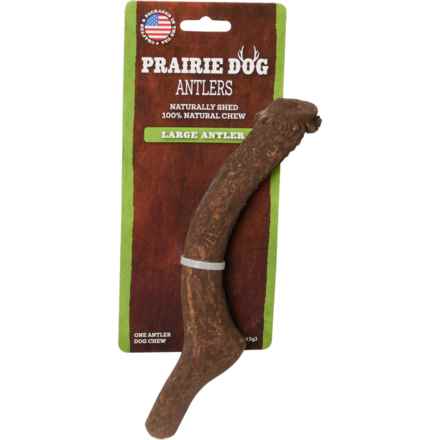 Prairie Dog Whole Antler Dog Chew - Large in Multi