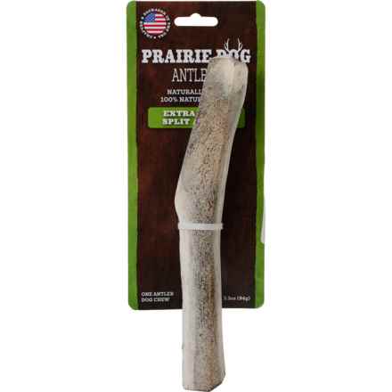 Prairie Dog X-Large Split Antler Dog Treat - 10” in Antler
