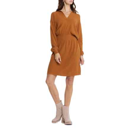 prAna Milani V-Neck Dress - Organic Cotton, Long Sleeve in Spiced