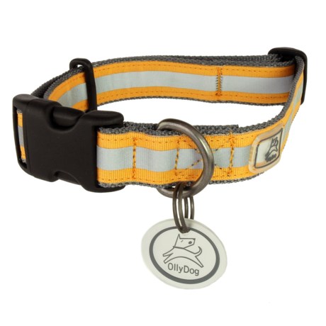 OllyDog Nightlife 2 Dog Collar - Medium