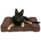 AKC Premium Memory-Foam Dog Sofa