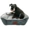 AKC Premium Soft Cuddler Dog Bed - 26x22”