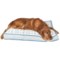 DNU Telluride Telluride Jon Plaid Rectangle Dog Bed - Extra Large, 40x28”