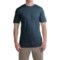 Ibex Overdye Sol T-Shirt - Merino Wool, Short Sleeve (For Men)