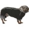 Hurtta Downpour Dog Rain Suit