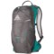 Gregory Maya 10L Backpack (For Women)