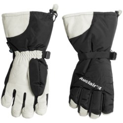 Auclair Powder Country 2 Gloves - Waterproof, Insulated (For Men)