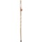 Brazos Walking Sticks Brazos Twisted American Hardwood Walking Stick - 55”