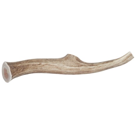 Paws & Co. Whole Antler Chew Dog Treat - 9”