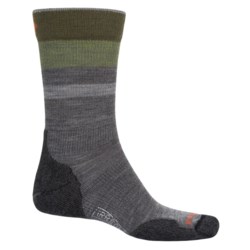 SmartWool PhD Outdoor Light Hiking Socks - Merino Wool, Crew (For Men and Women)