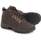 Timberland Keele Ridge Hiking Shoes - Leather (For Kids)