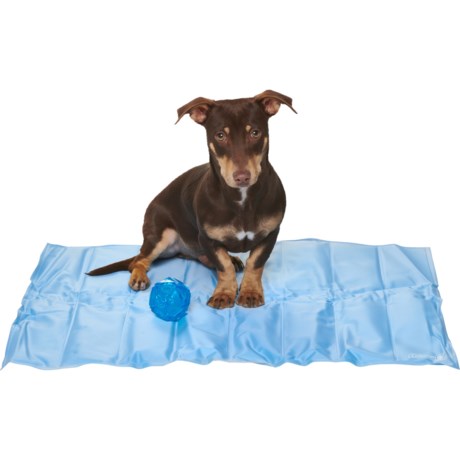 Coleman Pet Cooling Mat with Toy - 24x30”
