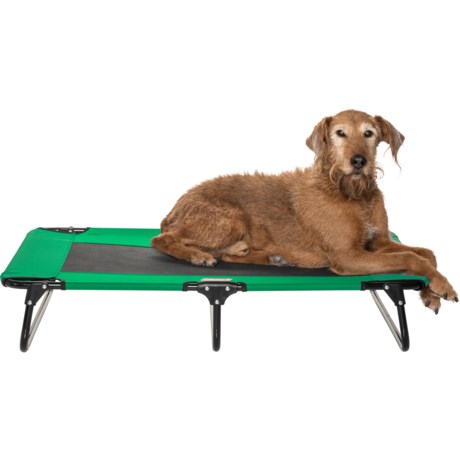 Coleman Fold-and-Go Pet Cot - 42x24x8”