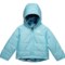 The North Face Infant Boys Perrito Jacket - Reversible, Insulated