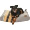 Pendleton Pet Nappers Dog Bed - 36x26x5”