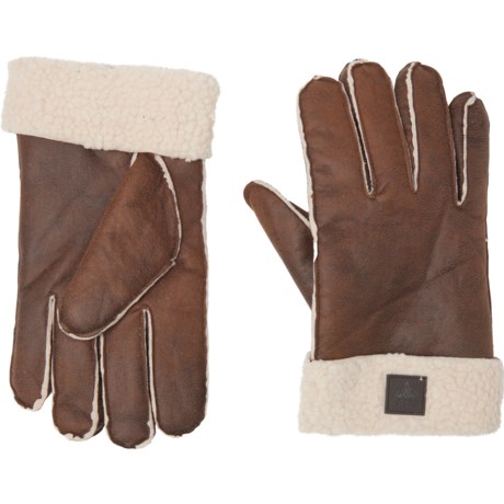 Rainforest Sherpa-Lined Gloves (For Men)