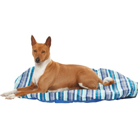 Ruffin' It Travel Dog Bed with Bag