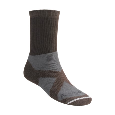 Lorpen Tri-Layer Hiker Socks - 2-Pack, PrimaLoft®, Merino Wool, (For Men)