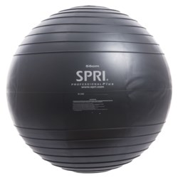 SPRI Professional Plus Stability Ball - 55cm