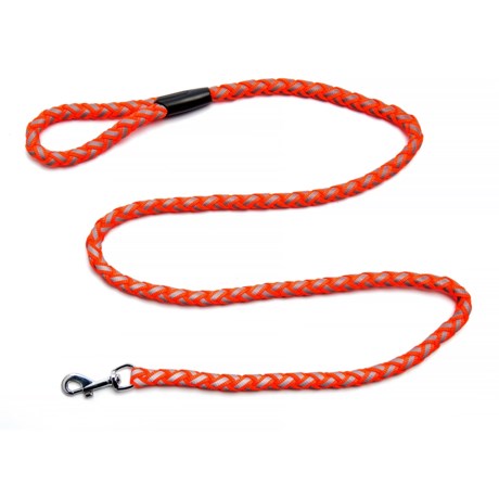 Ruffin’ It Braided Reflective Dog Leash - 6’