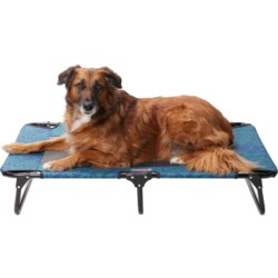 Coleman Large Fold and Go Pet Cot - 42x24x8”