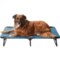 Coleman Large Fold and Go Pet Cot - 42x24x8”