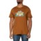 SmartWool River Van Sport Graphic T-Shirt - Merino Wool, Short Sleeve