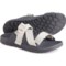 Chaco Lowdown Sport Sandals (For Women)
