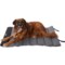 Eddie Bauer Roll-Up Travel Pet Bed - 40x30”