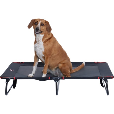 Avalanche Foldable Pet Cot - 32x48”