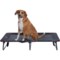 Avalanche Foldable Pet Cot - 32x48”