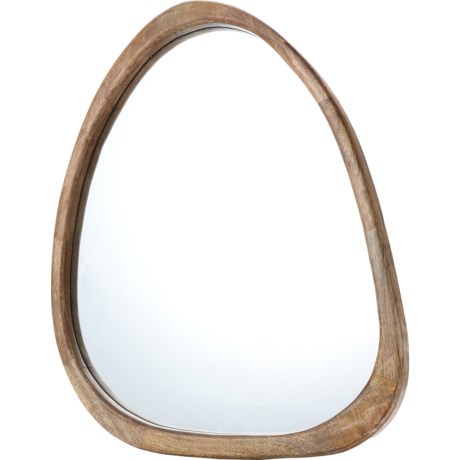 Habitat 24x30” Organic Shaped Wood Framed Mirror