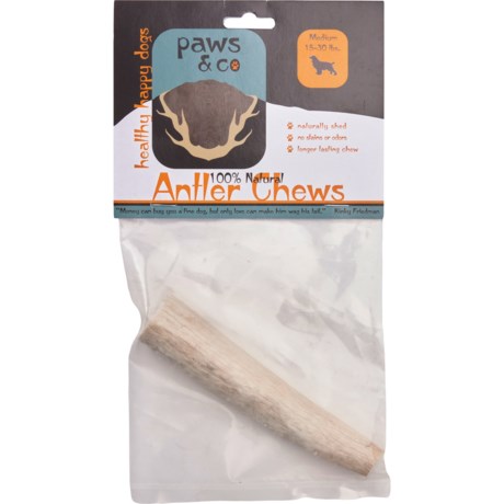Paws & Co. Whole Antler Dog Chew - Medium