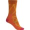 Icebreaker Hike+ Landscapes Medium Cushion Hiking Socks - Merino Wool, Crew (For Women)