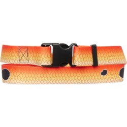 Wingo Outdoors Wading Belt