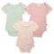 BLUEBERRY ORGANICS Infant Girls Baby Bodysuits - 3-Pack, Short Sleeve